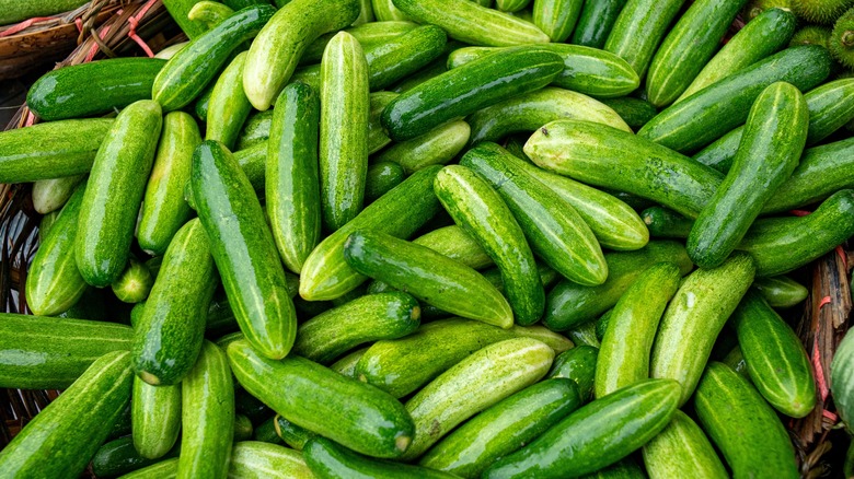 giant pile of cucumbers