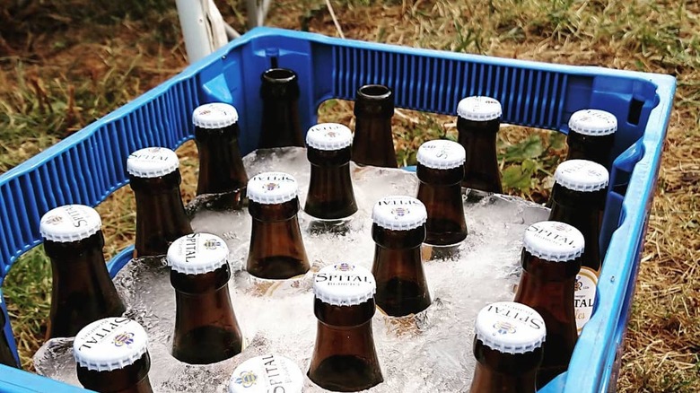 Beer bottles in ice block