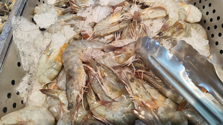 raw shrimp in a metal perforated bin filled with ice