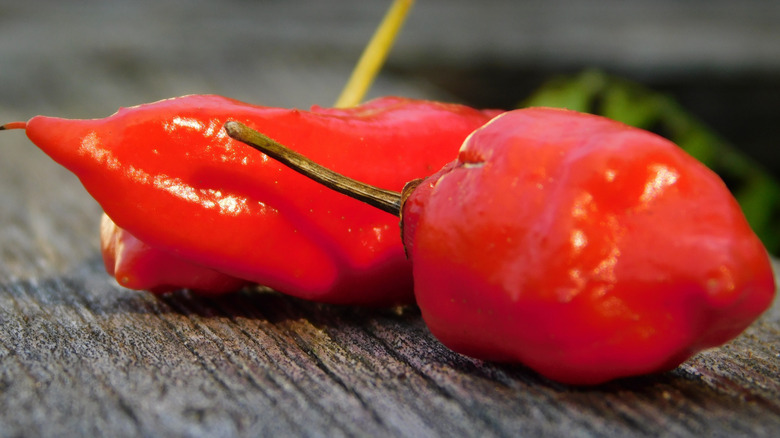 ghost peppers on table