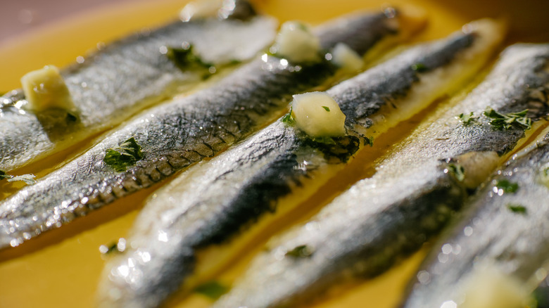 Close-up of anchovies in olive oil