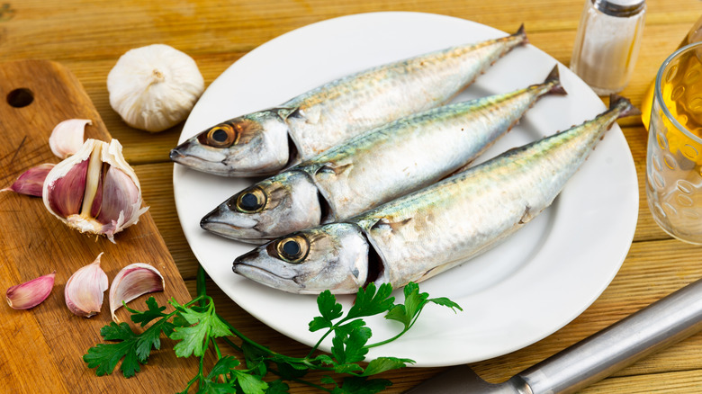 Three raw Atlantic mackerel on a plate