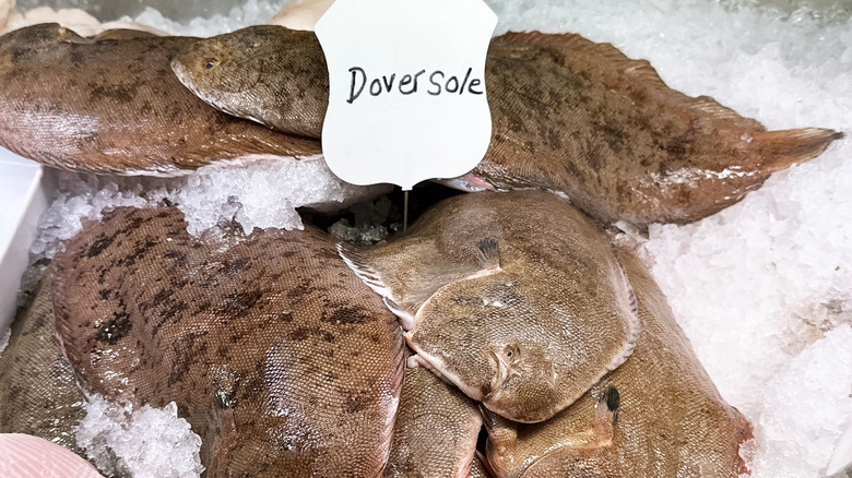 Dover sole in a market