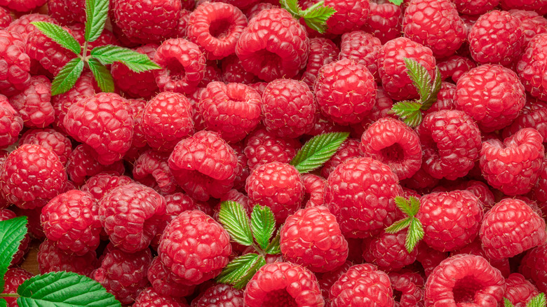 Close-up of raspberries and a few green leaves