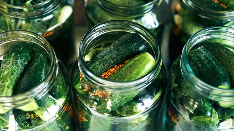 Jars of pickles sitting in brine.