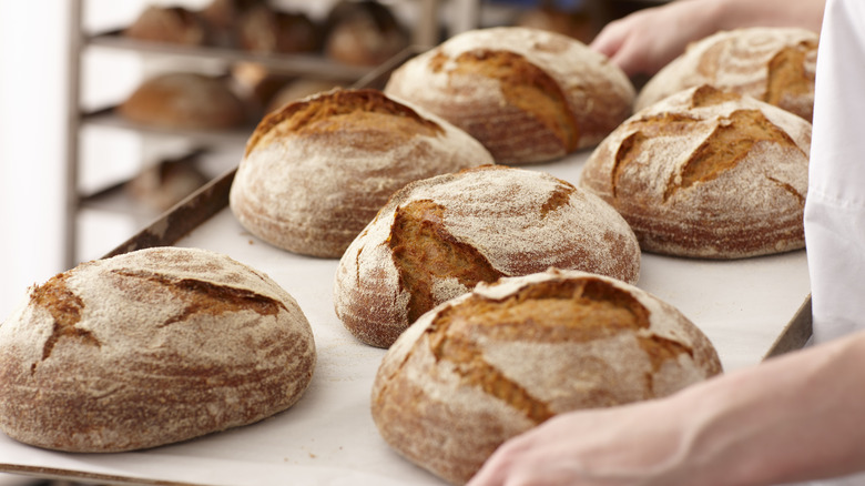 Hands holding a tray of freshly baked bread