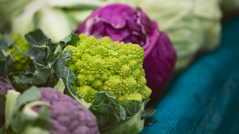 Romanesco broccoli at farmer's market