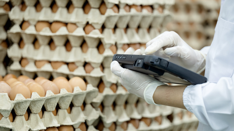 Piles of eggs with worker on tablet