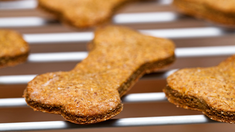 Homemade dog treats