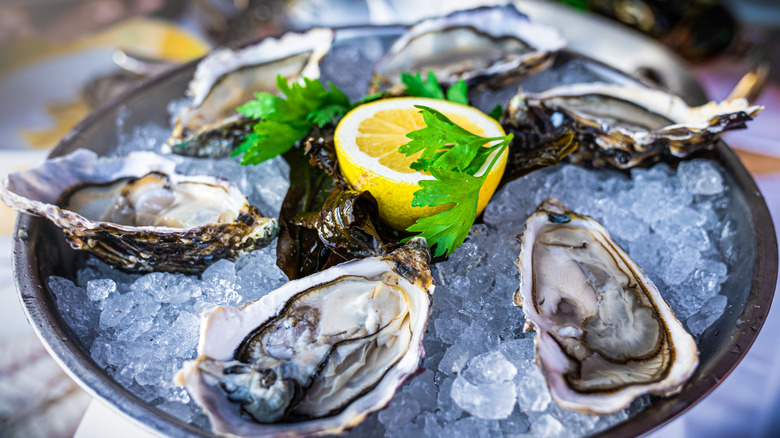 Half-a-dozen raw oysters served on ice with lemon