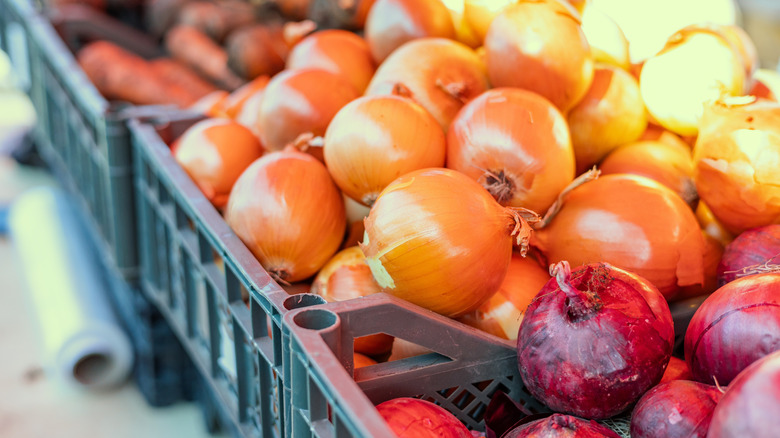 onions in plastic baskets