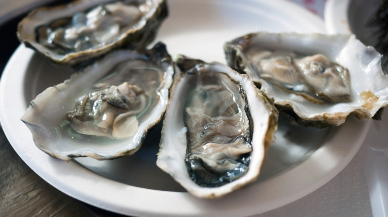 plate of raw oysters