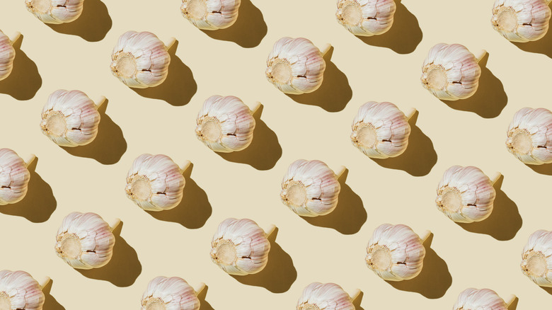 Rows of garlic heads on cream colored background