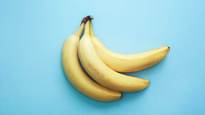 three bananas on a pale blue background