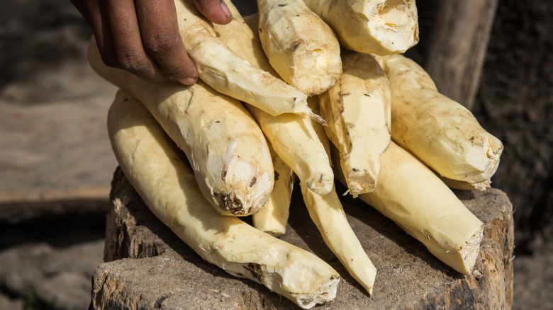 pile of peeled yuca