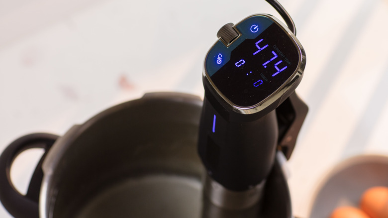 precision cooker sous vide