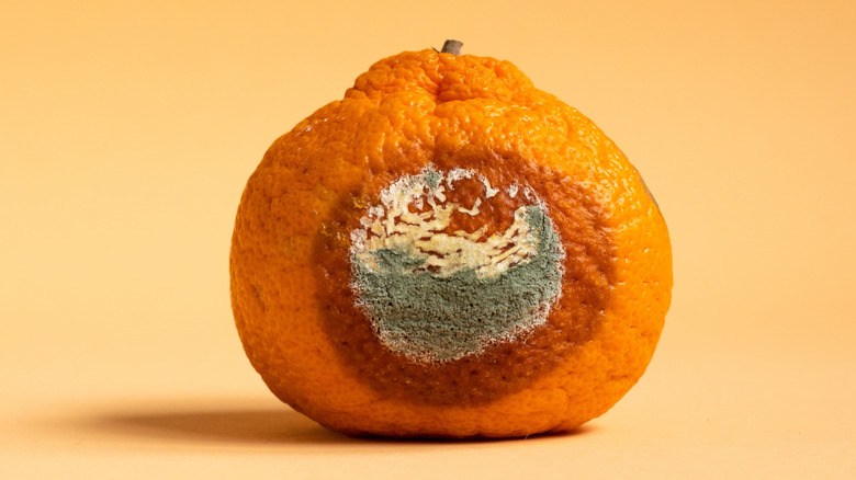 moldy orange