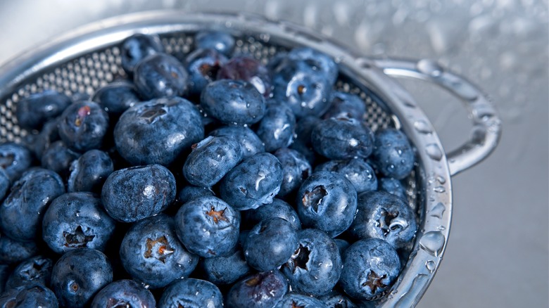 fresh blueberries in a colander