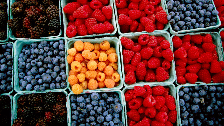 containers of blueberries, raspberries, blackberries