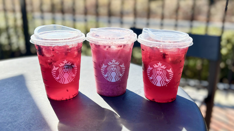 Blackberry Sage Refreshers lineup on sunny table