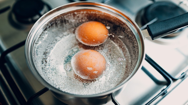 Two eggs sit in a pot of boiling water on a stove.