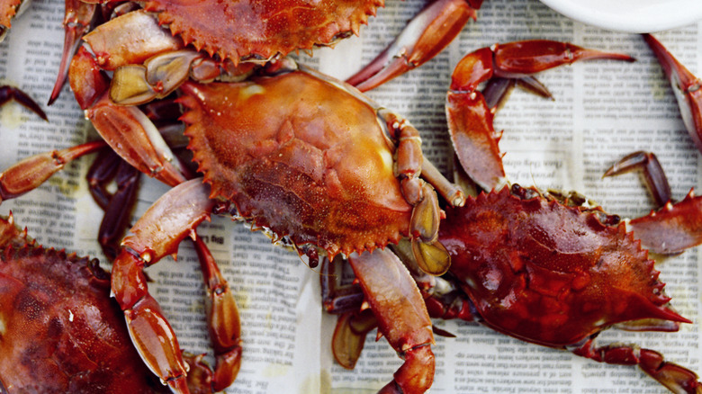 Whole steamed crabs on newspaper with lime wedges