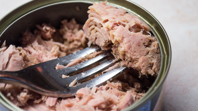 Fork in can of tuna 