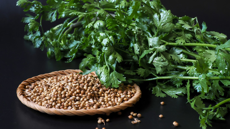 cilantro and coriander seeds