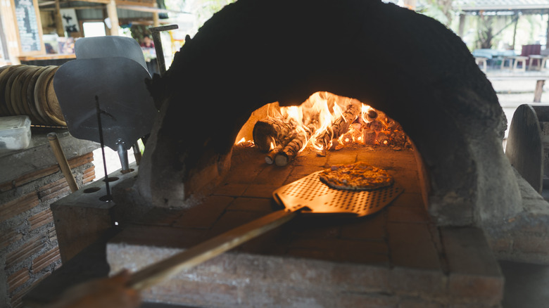 An outdoor pizza oven with a pizza going in to bake