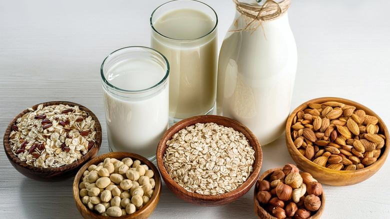 dairy-free milks sit in two glasses and one pitcher, behind bowls of almonds, oats, hazelnuts, and macadamia nuts