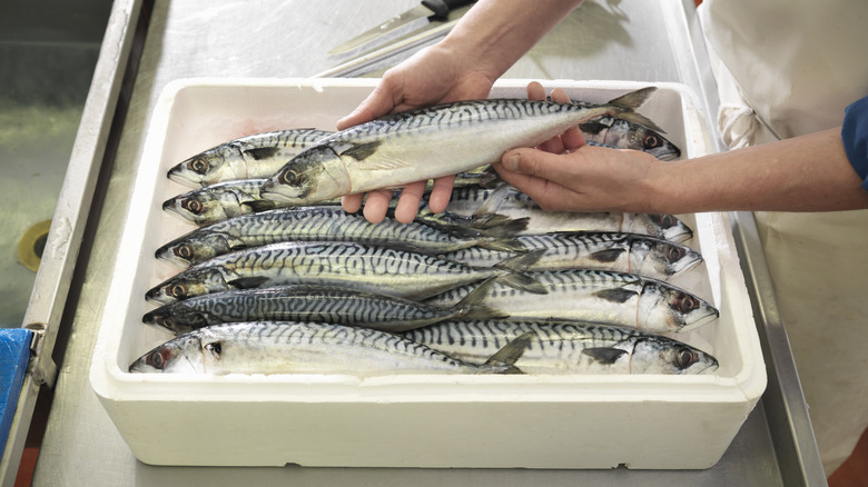 fresh fish in styrofoam box