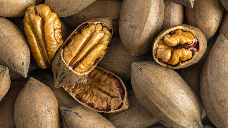 pecan shells