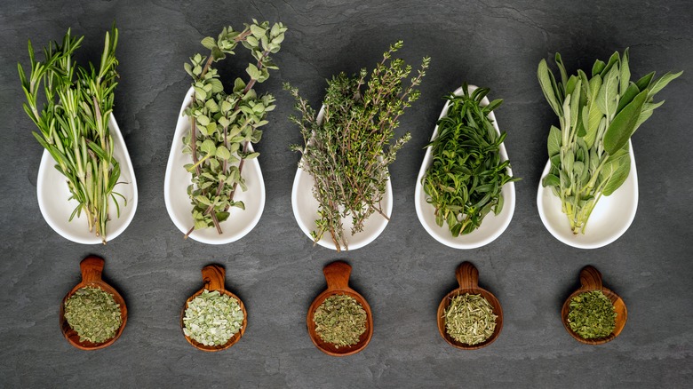 Fresh and dried herbs on white platters