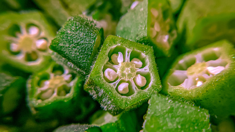 Cross section of sliced okra