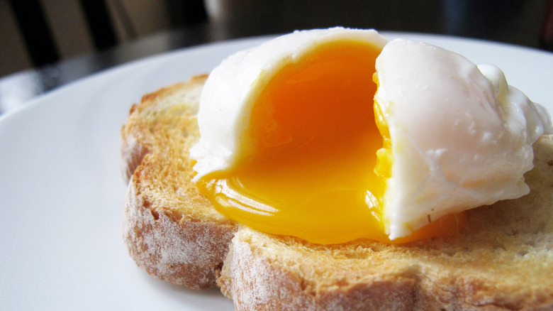 Poached egg on toast