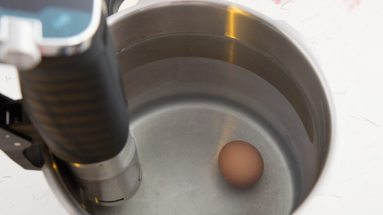 Egg with sous vide equipment