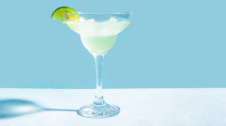 Margarita on a light blue background.