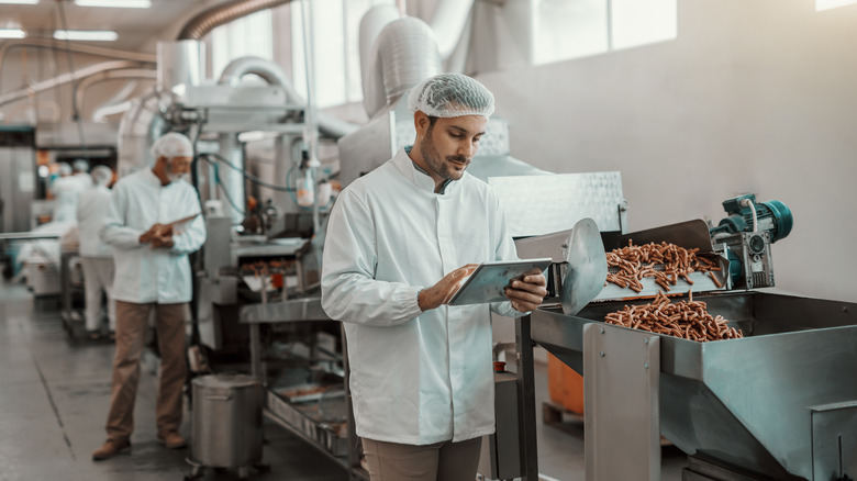 a food production line worker checks progress