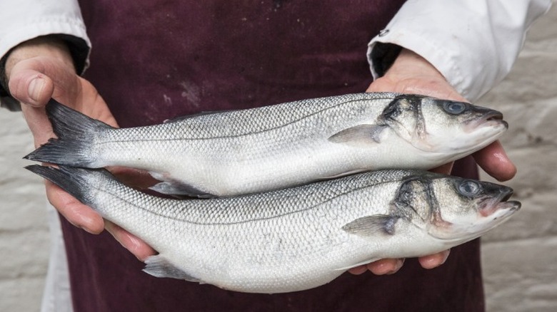 fishmonger holding two fish