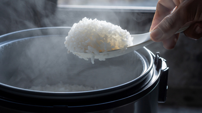 Rice cooker with freshly cooked rice