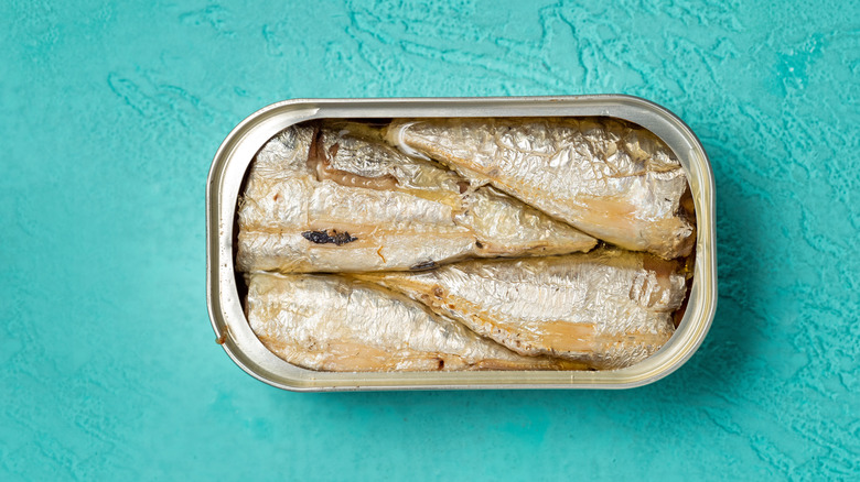 A can of sardines against a teal background