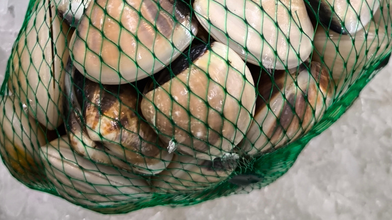 A mesh sack of clams atop ice