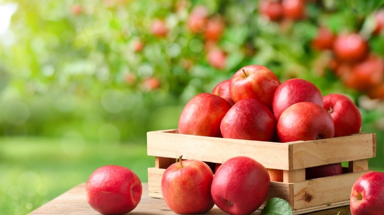 A wooden palette box of red apples