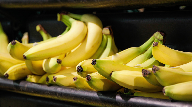 bananas on a shelf