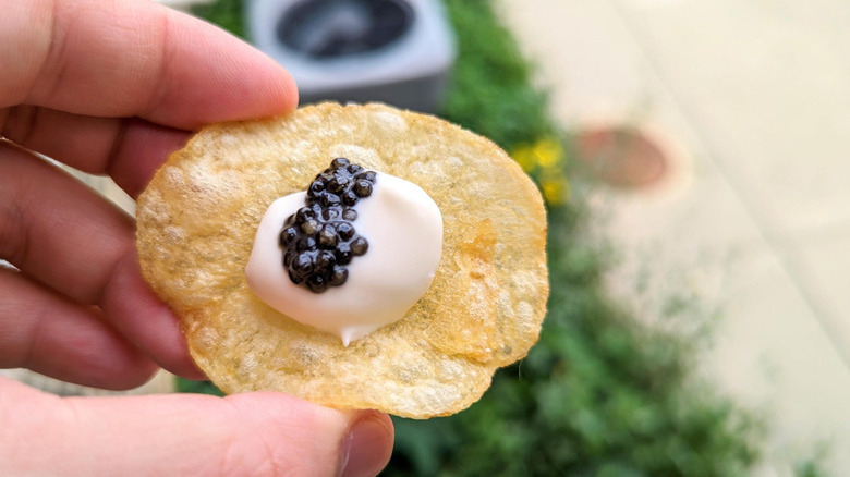 Hand holding kettle chip topped with creme fraiche and caviar