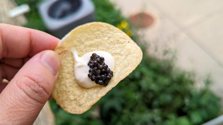 Hand holding pringle topped with creme fraiche and caviar