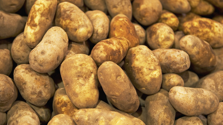 A pile of raw russet potatoes