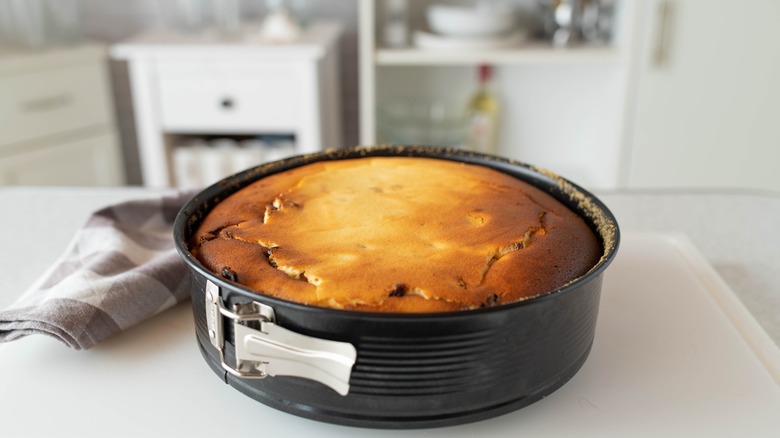 Baked cheesecake in a springform pan