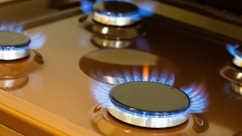 Gas stove hob