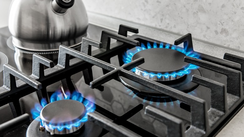 Gas stove burners